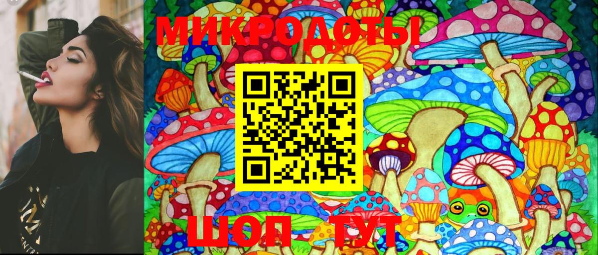 Псилоцибиновые грибы Psilocybine cubensis  Вход с VPN  Новотроицк 