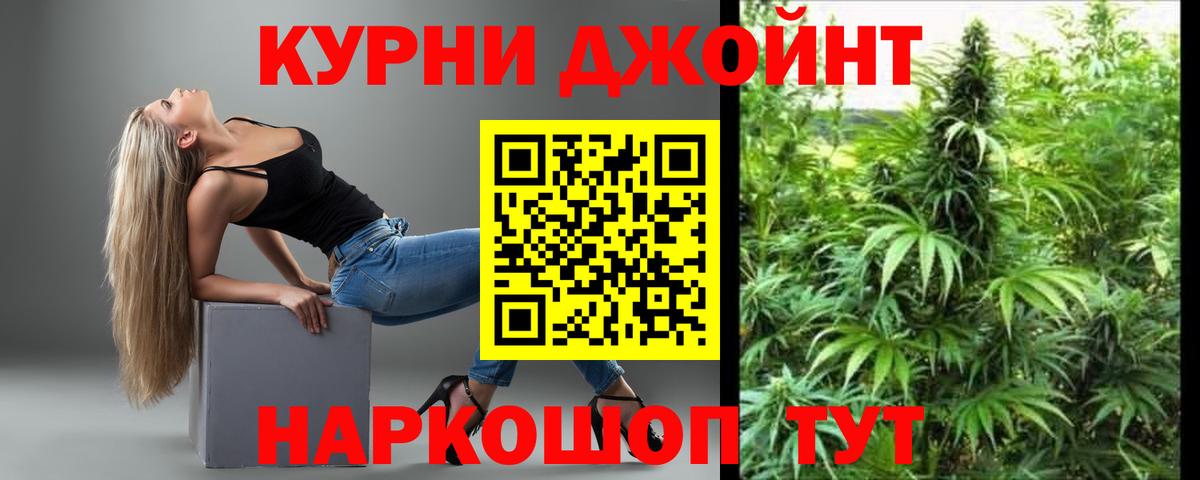 Канабис гибрид  Вход с VPN  Конопля план  Бошки Шишки Ganja  Марихуана Bruce Banner  Новотроицк 
